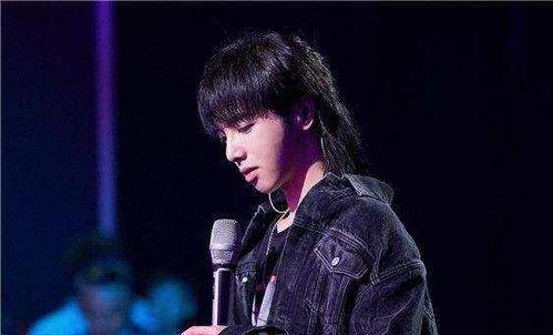 娱乐吃瓜华晨宇是谁